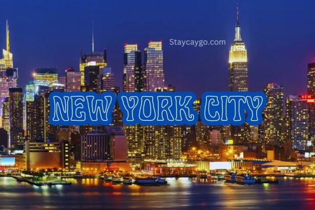 New York City travel Guide