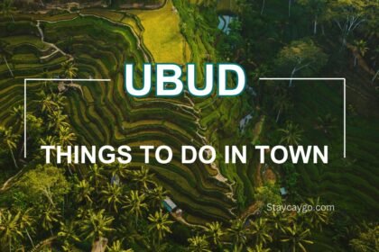 Things to do in Ubud