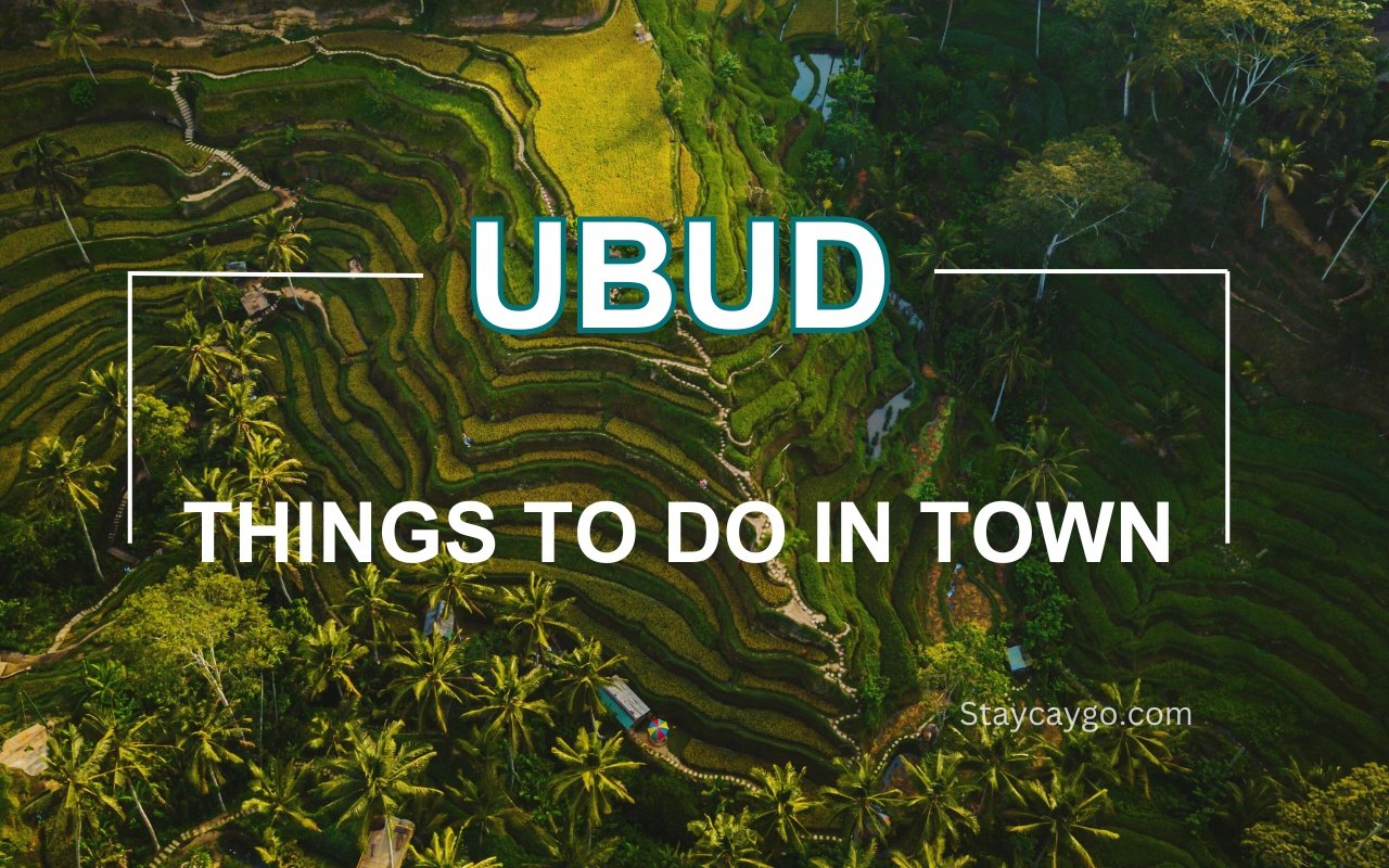 Things to do in Ubud