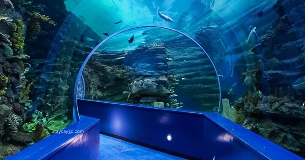 The Sharjah Aquarium