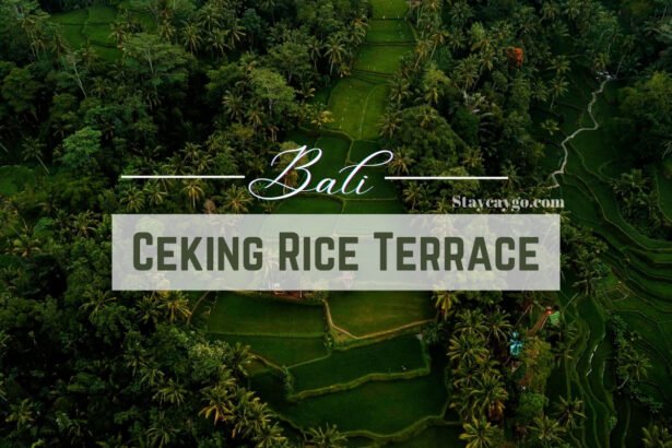 Best Time to Visit Ceking Bali