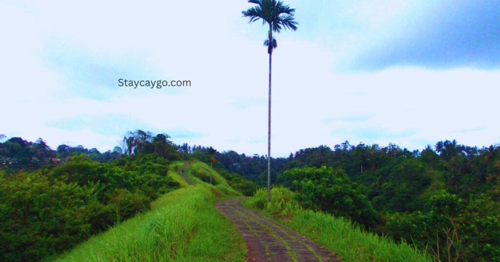 Campuhan Ridge walk